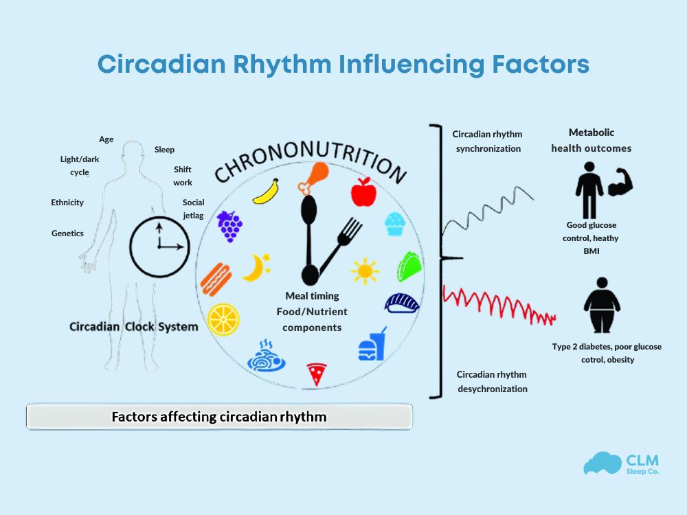 What affects circadian rhythm?