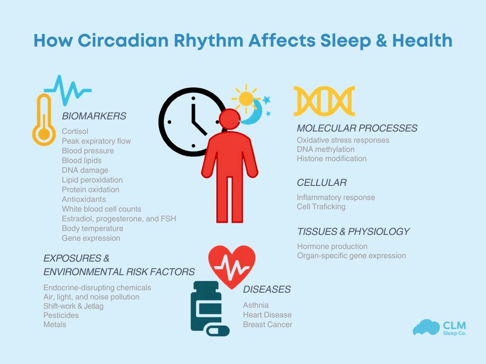 Circadian Rhythm in health environment