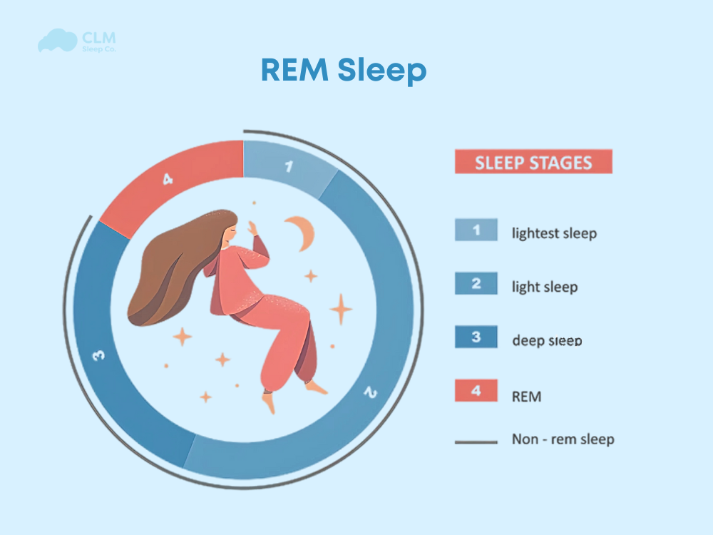 rem sleep​