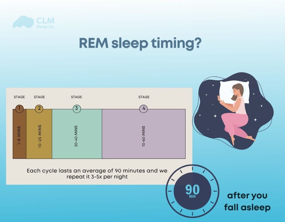 When does REM sleep happen?