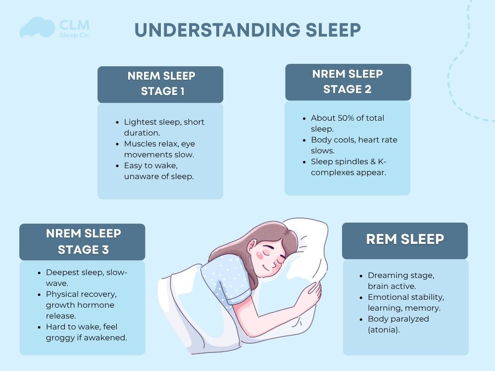 4 stages of sleep​