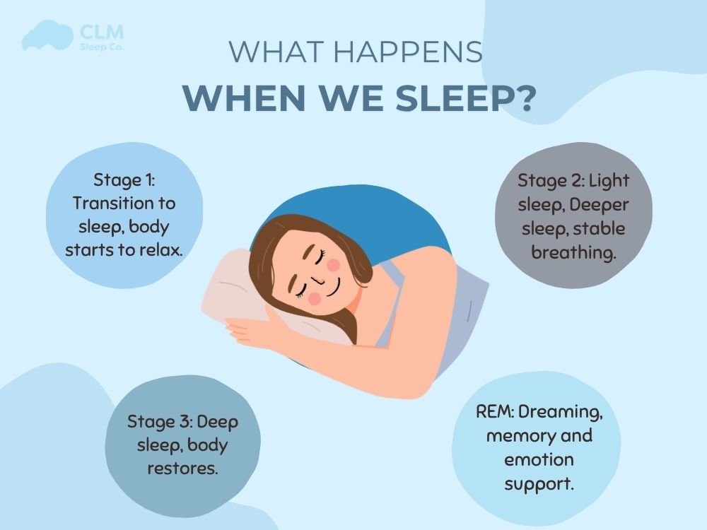 Four key stages of sleep