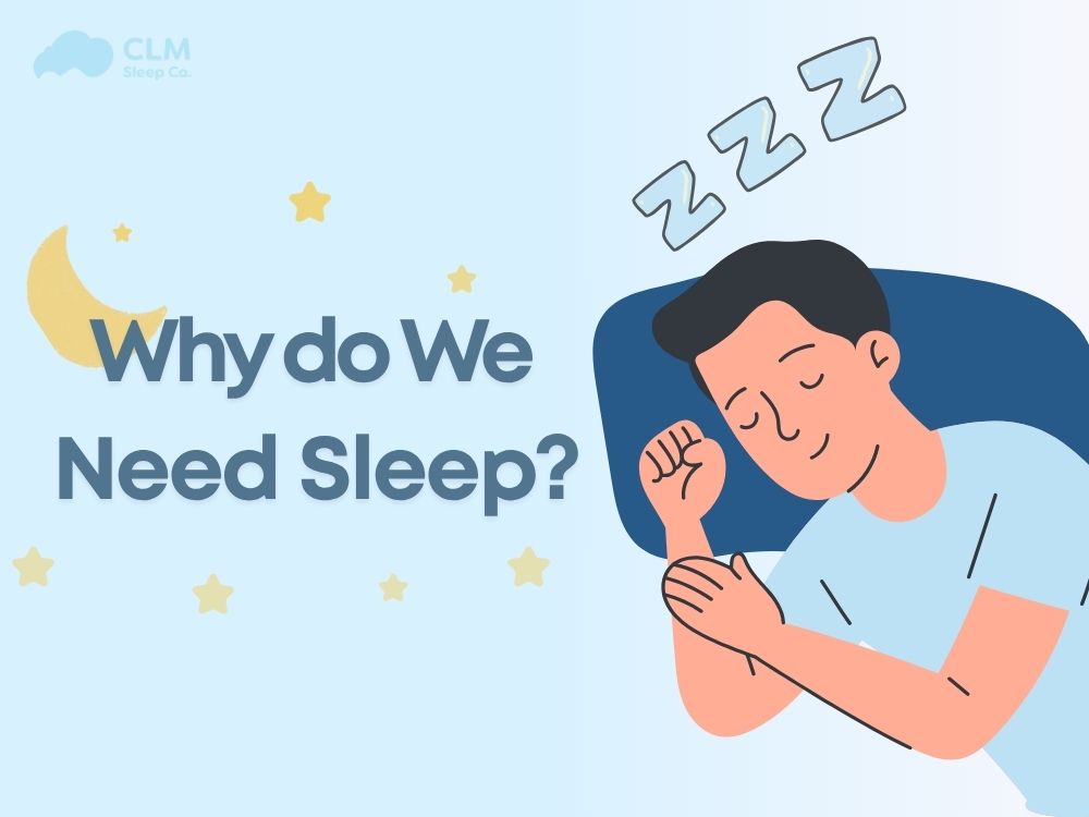 why do we need sleep?