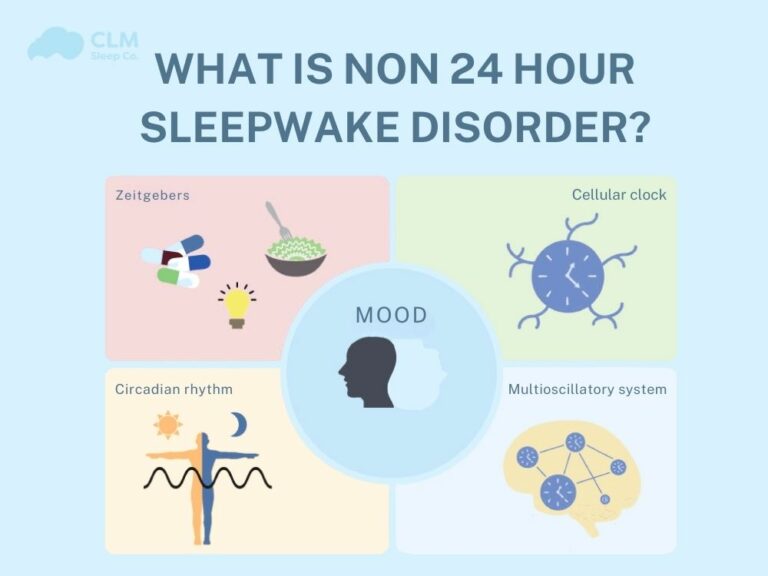What is a non 24 hour sleep wake disorder?